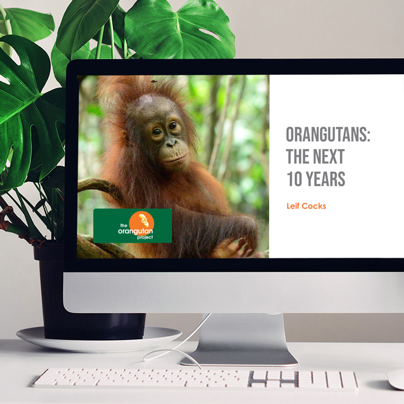 Orangutans: The Next 10 Years with a photo of an orangutan on a desktop computer