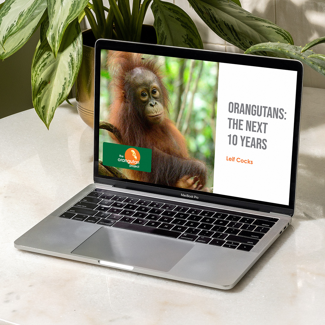 Orangutans: The Next 10 Years presentation showing on a laptop sitting in front of a plant