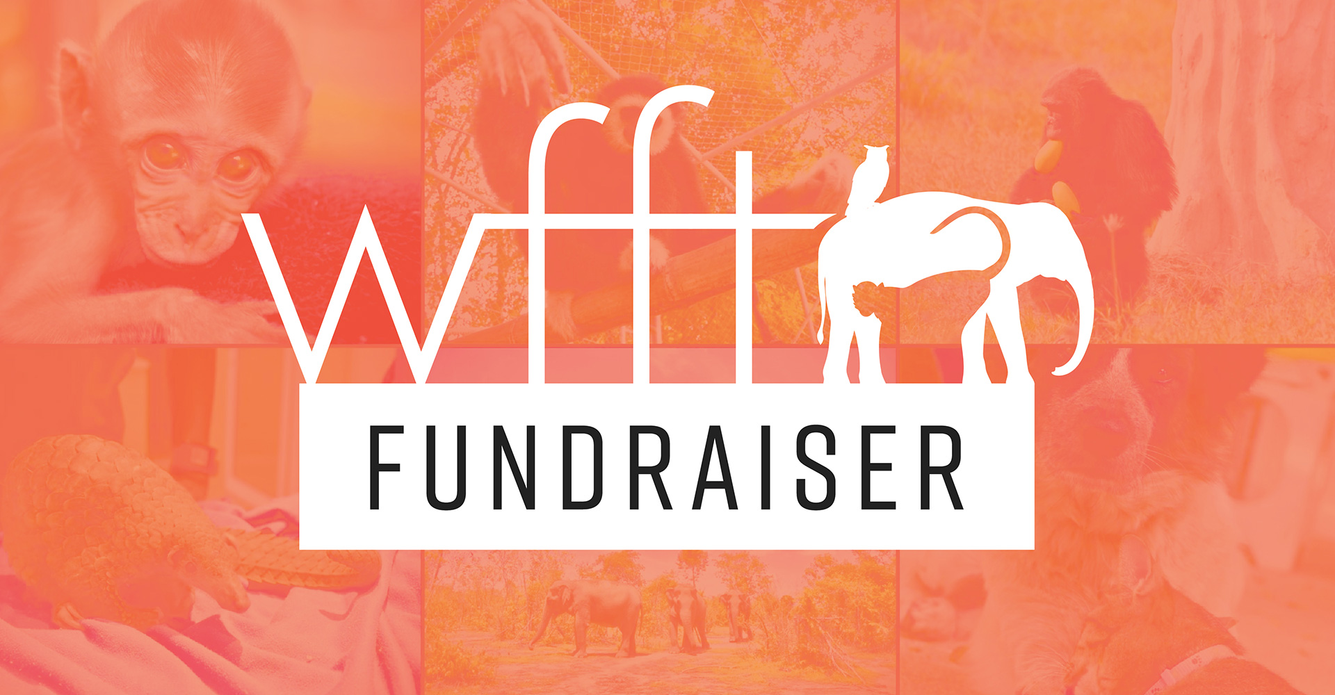 Wildlife Friends Foundation Thailand Fundraiser logo and graphic